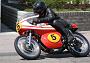 Barneveld 2009 Henk Morren 167 